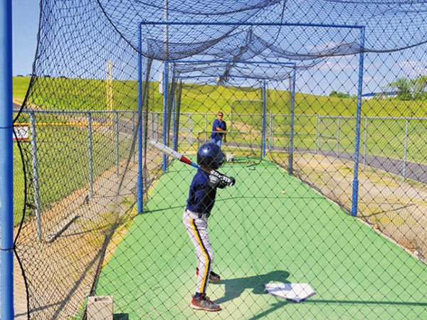 Wholesale Baseball Net Manufacturer scene Wholesale Baseball Net Manufacturer scene