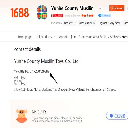 Wholesale China Toys From 1688