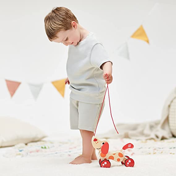 Eco-Friendly and Sustainable: The Rise of Wooden Toys Wholesale
